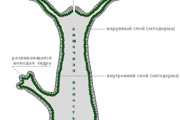 Ссылка кракен vk2 top