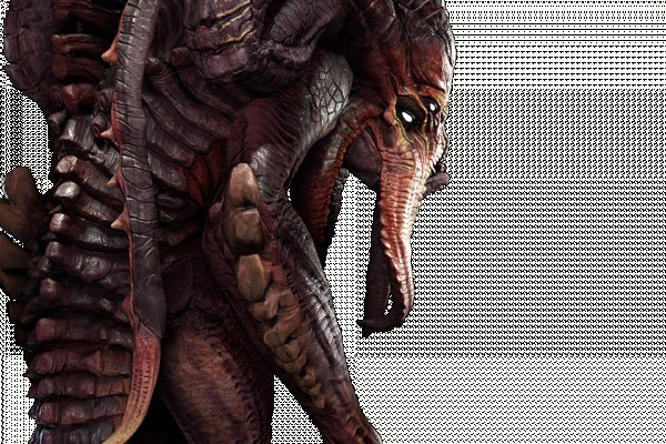Кракен тор krakendark krakendark link