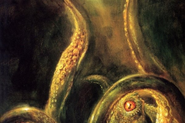 Kraken 6 at